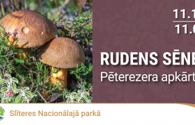 11. oktobrī no plkst. 11.00-14.00 rudens sēņu ekspedīcija Pēterezera dabas takas apkārtnē